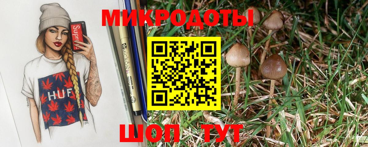 продажа наркотиков  Вход с VPN  Братск  Галлюциногенные грибы Cubensis 