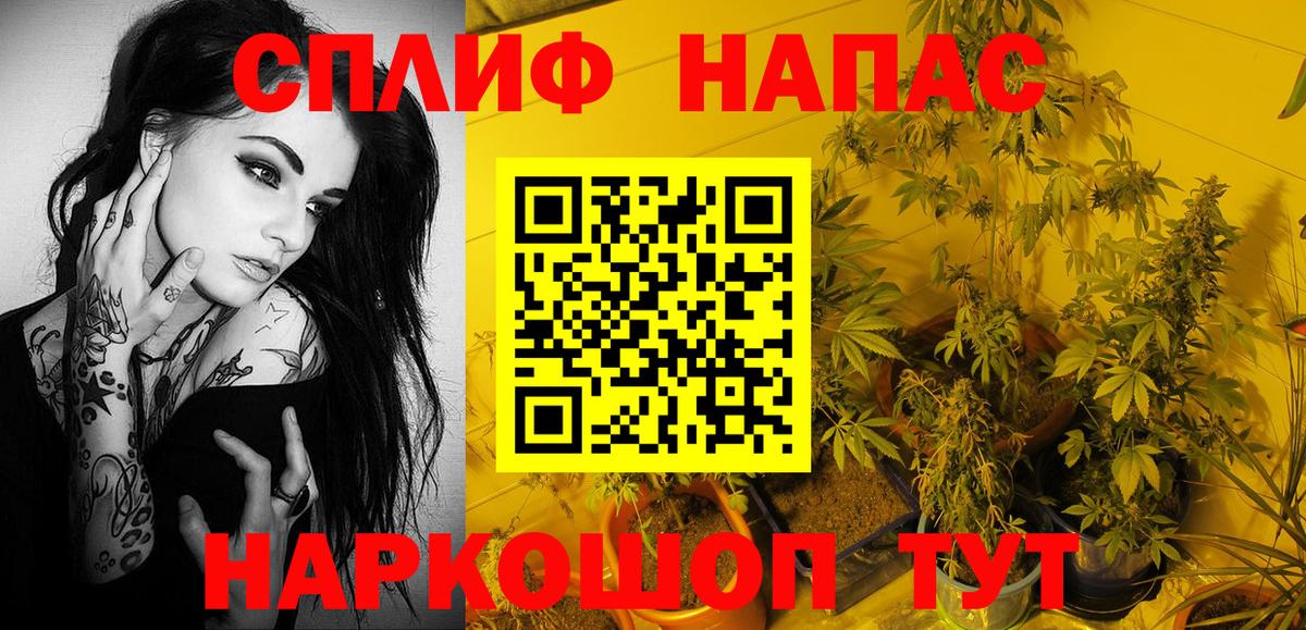 Шишки марихуана VHQ  Вход с VPN  Братск  Каннабис VHQ  Конопля White Widow 